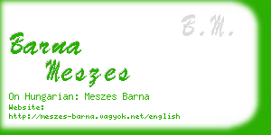 barna meszes business card